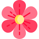 Fleurs